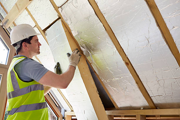 Best Insulation Maintenance and Repair in Minerva, OH